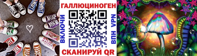 Галлюциногенные грибы мухоморы как найти наркотики Яхрома